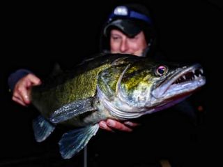 Huge congratulations to our team on winning Zander Pro! 🎣🏆 Amazing results and some serious zander, we’re proud our...